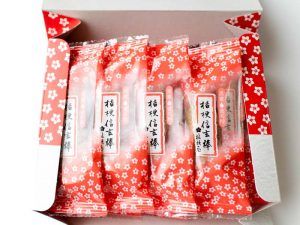 桔梗 Treknexa】富士山・富士吉田通販/Fujiyoshida, Yamanashi online