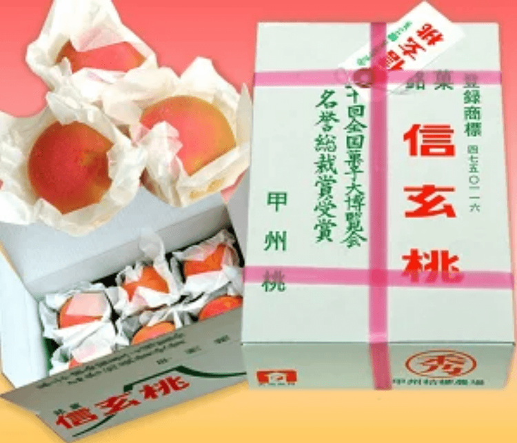 Treknexa】富士山・富士吉田通販/Fujiyoshida, Yamanashi online